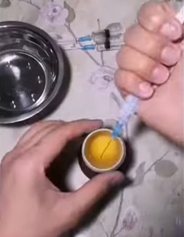 “Quite Horrifying”: Man Successfully Grows A Chicken In An Open Egg And Gets It On Video “Quite Horrifying”: Man Successfully Grows A Chicken In An Open Egg And Gets It On Video