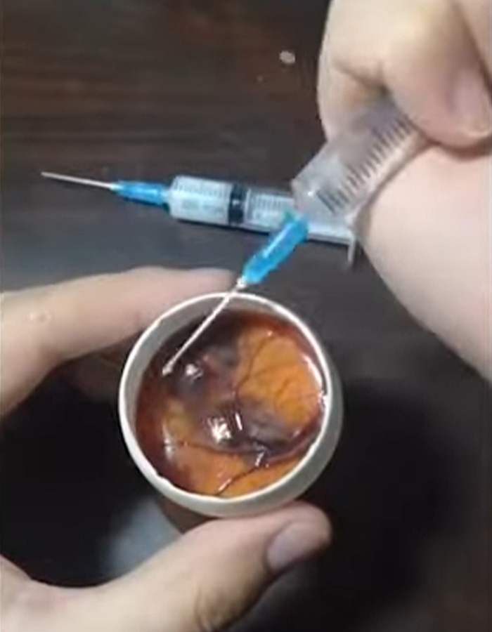 “Quite Horrifying”: Man Successfully Grows A Chicken In An Open Egg And Gets It On Video “Quite Horrifying”: Man Successfully Grows A Chicken In An Open Egg And Gets It On Video