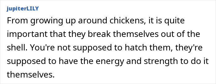 “Quite Horrifying”: Man Successfully Grows A Chicken In An Open Egg And Gets It On Video “Quite Horrifying”: Man Successfully Grows A Chicken In An Open Egg And Gets It On Video