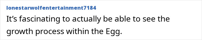 “Quite Horrifying”: Man Successfully Grows A Chicken In An Open Egg And Gets It On Video “Quite Horrifying”: Man Successfully Grows A Chicken In An Open Egg And Gets It On Video