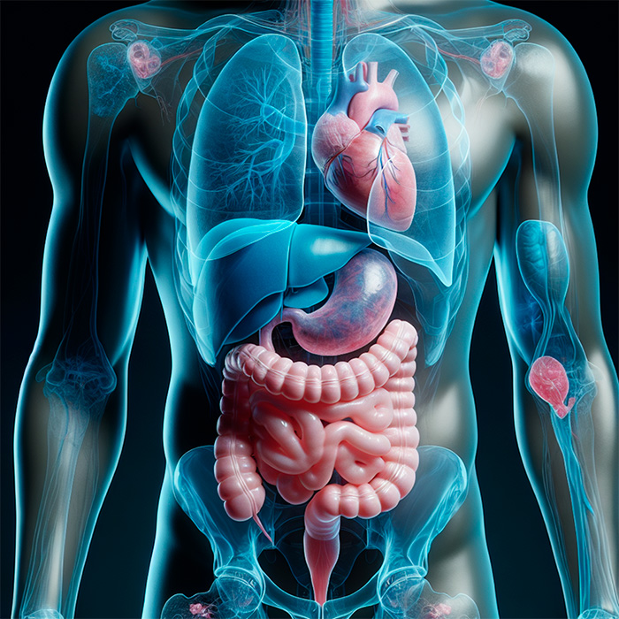 Mind-Blowing Simulation Reveals What 36 Hours Of Fasting Really Does To Your Body Mind-Blowing Simulation Reveals What 36 Hours Of Fasting Really Does To Your Body
