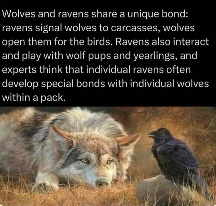 Time Spent Learning About Animals Is Never Wasted, So Here Are 73 Curiosities You Might Appreciate Time Spent Learning About Animals Is Never Wasted, So Here Are 73 Curiosities You Might Appreciate