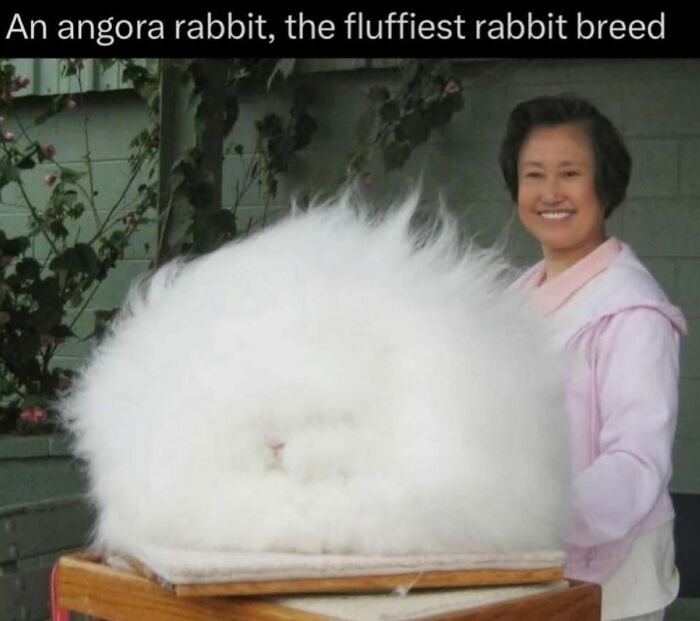 Time Spent Learning About Animals Is Never Wasted, So Here Are 73 Curiosities You Might Appreciate Time Spent Learning About Animals Is Never Wasted, So Here Are 73 Curiosities You Might Appreciate