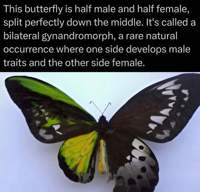 Time Spent Learning About Animals Is Never Wasted, So Here Are 73 Curiosities You Might Appreciate Time Spent Learning About Animals Is Never Wasted, So Here Are 73 Curiosities You Might Appreciate