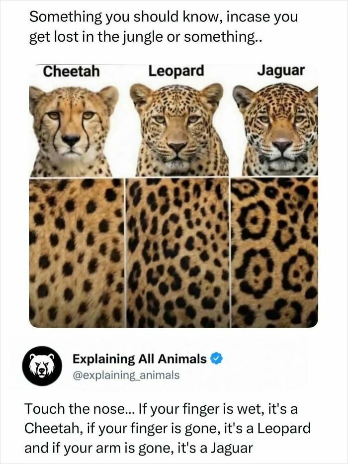 Time Spent Learning About Animals Is Never Wasted, So Here Are 73 Curiosities You Might Appreciate Time Spent Learning About Animals Is Never Wasted, So Here Are 73 Curiosities You Might Appreciate