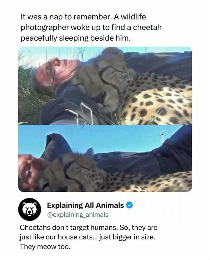 Time Spent Learning About Animals Is Never Wasted, So Here Are 73 Curiosities You Might Appreciate Time Spent Learning About Animals Is Never Wasted, So Here Are 73 Curiosities You Might Appreciate
