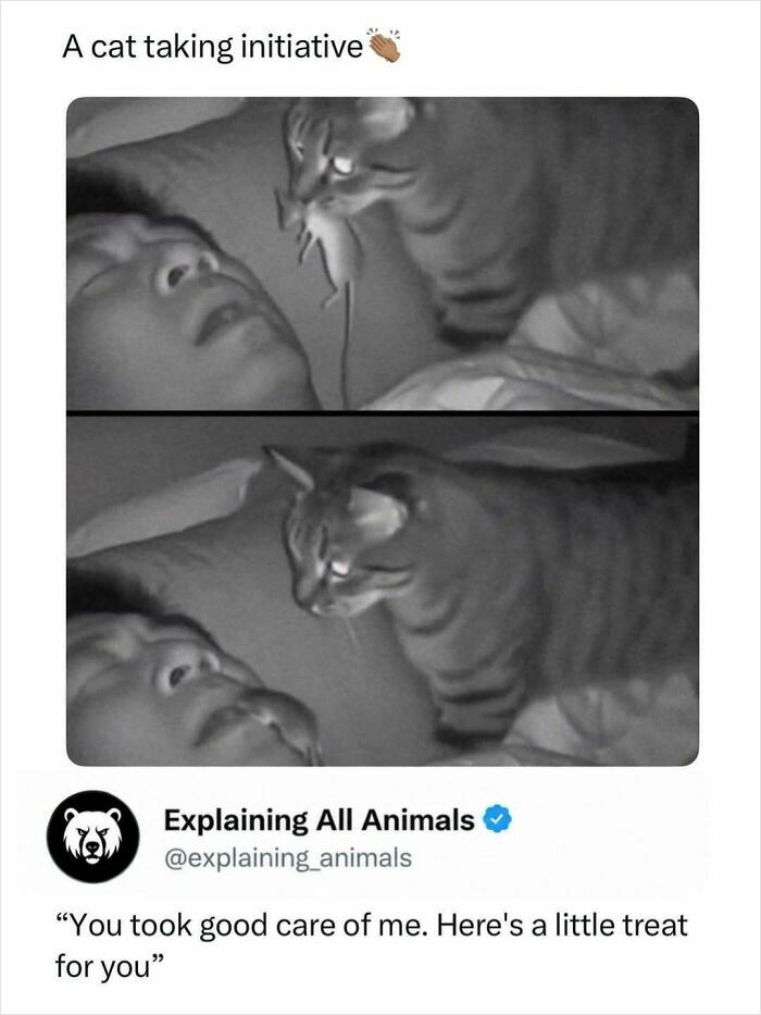 Time Spent Learning About Animals Is Never Wasted, So Here Are 73 Curiosities You Might Appreciate Time Spent Learning About Animals Is Never Wasted, So Here Are 73 Curiosities You Might Appreciate