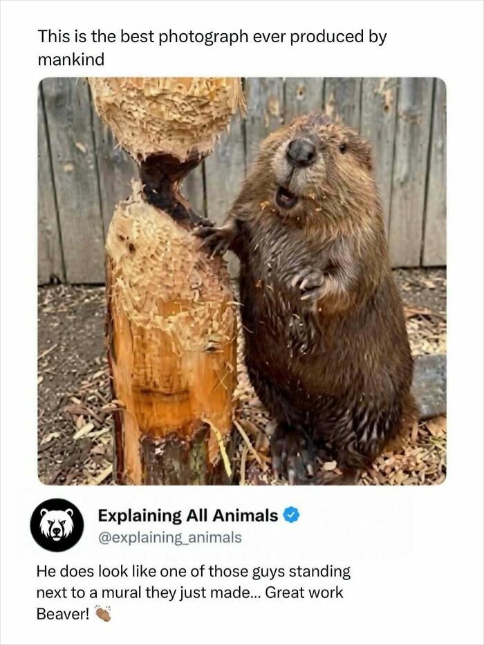 Time Spent Learning About Animals Is Never Wasted, So Here Are 73 Curiosities You Might Appreciate Time Spent Learning About Animals Is Never Wasted, So Here Are 73 Curiosities You Might Appreciate