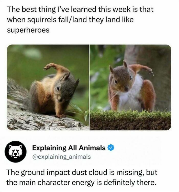 Time Spent Learning About Animals Is Never Wasted, So Here Are 73 Curiosities You Might Appreciate Time Spent Learning About Animals Is Never Wasted, So Here Are 73 Curiosities You Might Appreciate