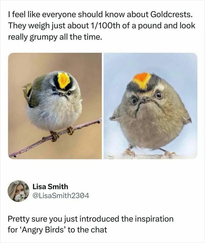 Time Spent Learning About Animals Is Never Wasted, So Here Are 73 Curiosities You Might Appreciate Time Spent Learning About Animals Is Never Wasted, So Here Are 73 Curiosities You Might Appreciate