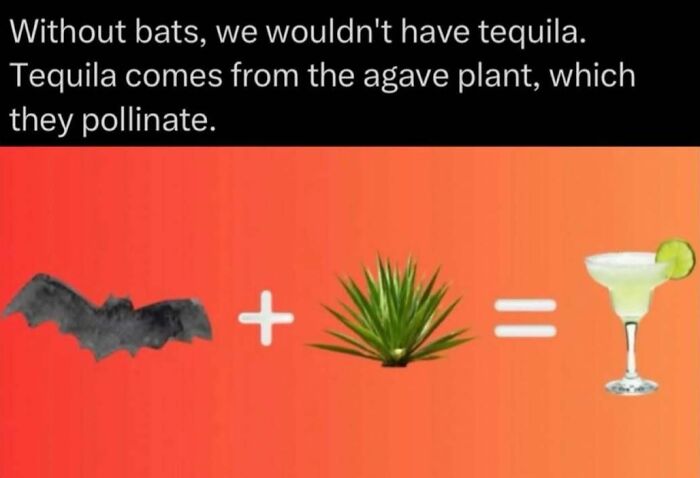 Time Spent Learning About Animals Is Never Wasted, So Here Are 73 Curiosities You Might Appreciate Time Spent Learning About Animals Is Never Wasted, So Here Are 73 Curiosities You Might Appreciate