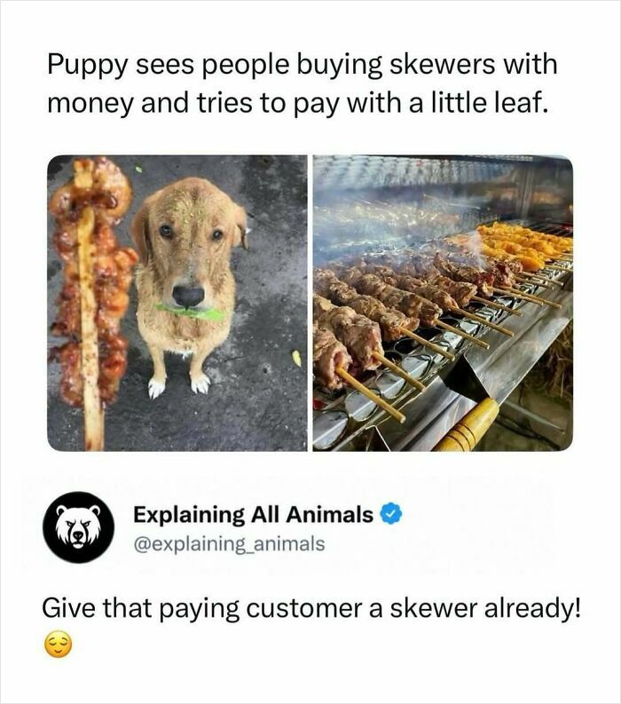 Time Spent Learning About Animals Is Never Wasted, So Here Are 73 Curiosities You Might Appreciate Time Spent Learning About Animals Is Never Wasted, So Here Are 73 Curiosities You Might Appreciate