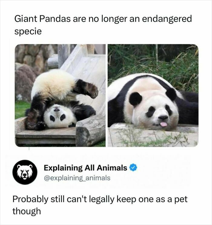 Time Spent Learning About Animals Is Never Wasted, So Here Are 73 Curiosities You Might Appreciate Time Spent Learning About Animals Is Never Wasted, So Here Are 73 Curiosities You Might Appreciate
