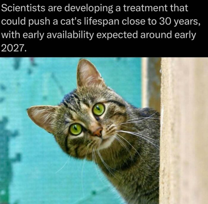 Time Spent Learning About Animals Is Never Wasted, So Here Are 73 Curiosities You Might Appreciate Time Spent Learning About Animals Is Never Wasted, So Here Are 73 Curiosities You Might Appreciate
