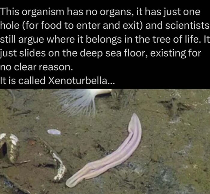 Time Spent Learning About Animals Is Never Wasted, So Here Are 73 Curiosities You Might Appreciate Time Spent Learning About Animals Is Never Wasted, So Here Are 73 Curiosities You Might Appreciate