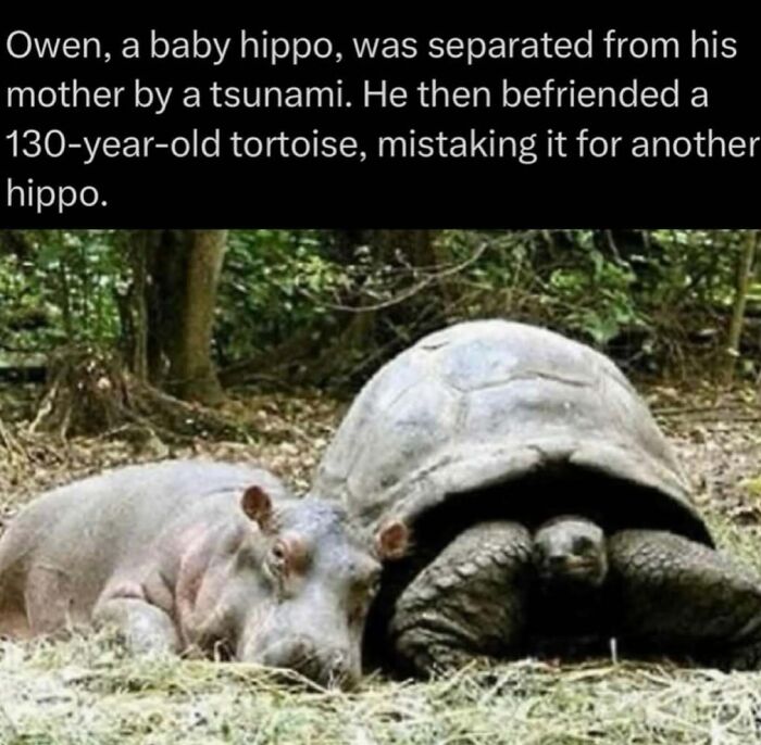 Time Spent Learning About Animals Is Never Wasted, So Here Are 73 Curiosities You Might Appreciate Time Spent Learning About Animals Is Never Wasted, So Here Are 73 Curiosities You Might Appreciate