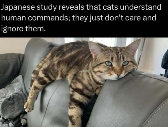 Time Spent Learning About Animals Is Never Wasted, So Here Are 73 Curiosities You Might Appreciate Time Spent Learning About Animals Is Never Wasted, So Here Are 73 Curiosities You Might Appreciate