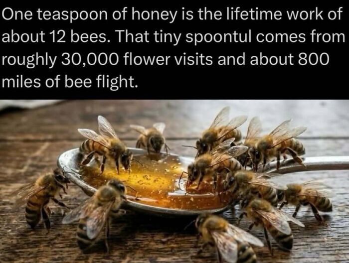 Time Spent Learning About Animals Is Never Wasted, So Here Are 73 Curiosities You Might Appreciate Time Spent Learning About Animals Is Never Wasted, So Here Are 73 Curiosities You Might Appreciate