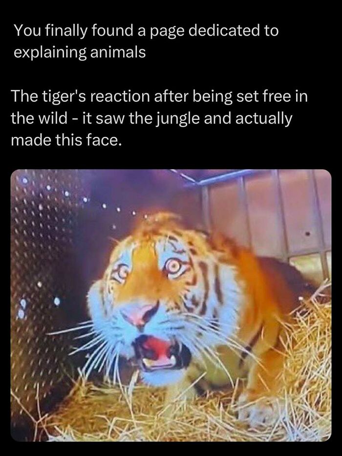 Time Spent Learning About Animals Is Never Wasted, So Here Are 73 Curiosities You Might Appreciate Time Spent Learning About Animals Is Never Wasted, So Here Are 73 Curiosities You Might Appreciate