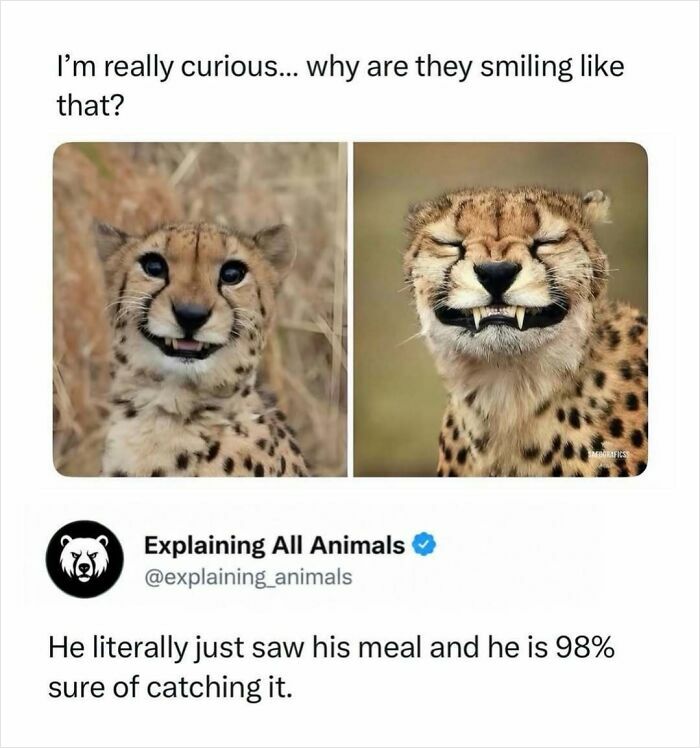 Time Spent Learning About Animals Is Never Wasted, So Here Are 73 Curiosities You Might Appreciate Time Spent Learning About Animals Is Never Wasted, So Here Are 73 Curiosities You Might Appreciate