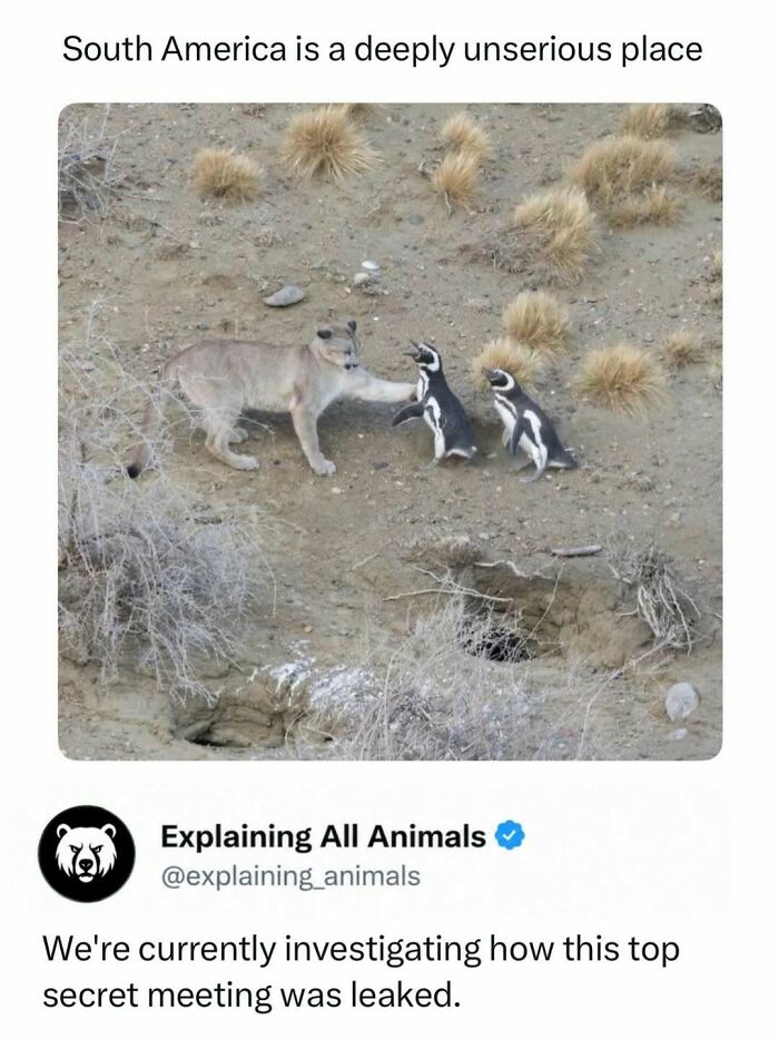 Time Spent Learning About Animals Is Never Wasted, So Here Are 73 Curiosities You Might Appreciate Time Spent Learning About Animals Is Never Wasted, So Here Are 73 Curiosities You Might Appreciate