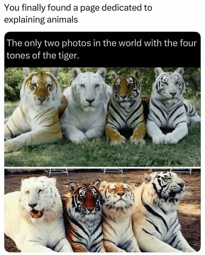 Time Spent Learning About Animals Is Never Wasted, So Here Are 73 Curiosities You Might Appreciate Time Spent Learning About Animals Is Never Wasted, So Here Are 73 Curiosities You Might Appreciate