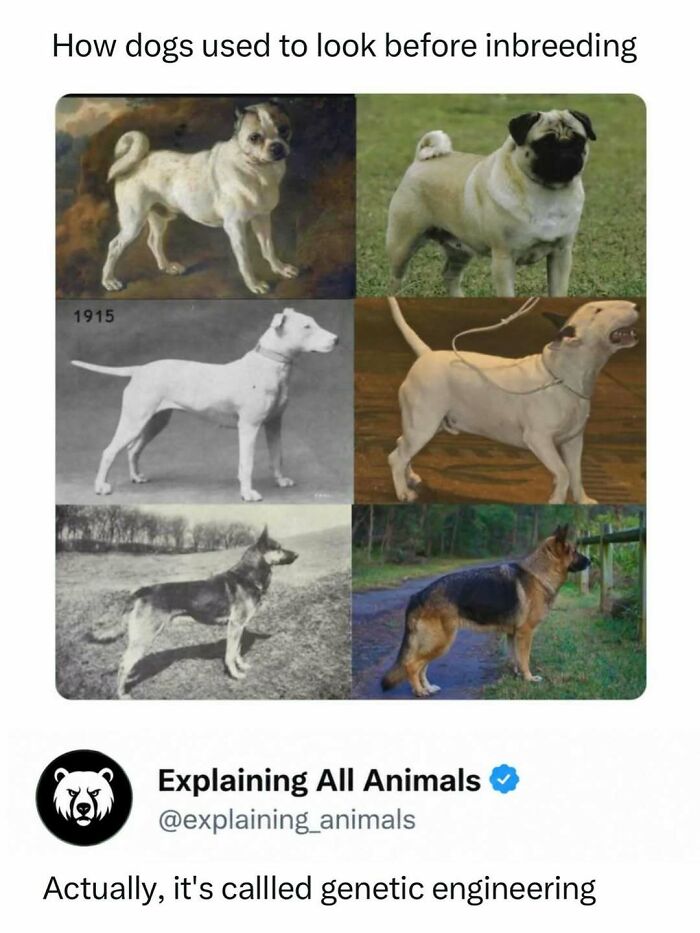Time Spent Learning About Animals Is Never Wasted, So Here Are 73 Curiosities You Might Appreciate Time Spent Learning About Animals Is Never Wasted, So Here Are 73 Curiosities You Might Appreciate