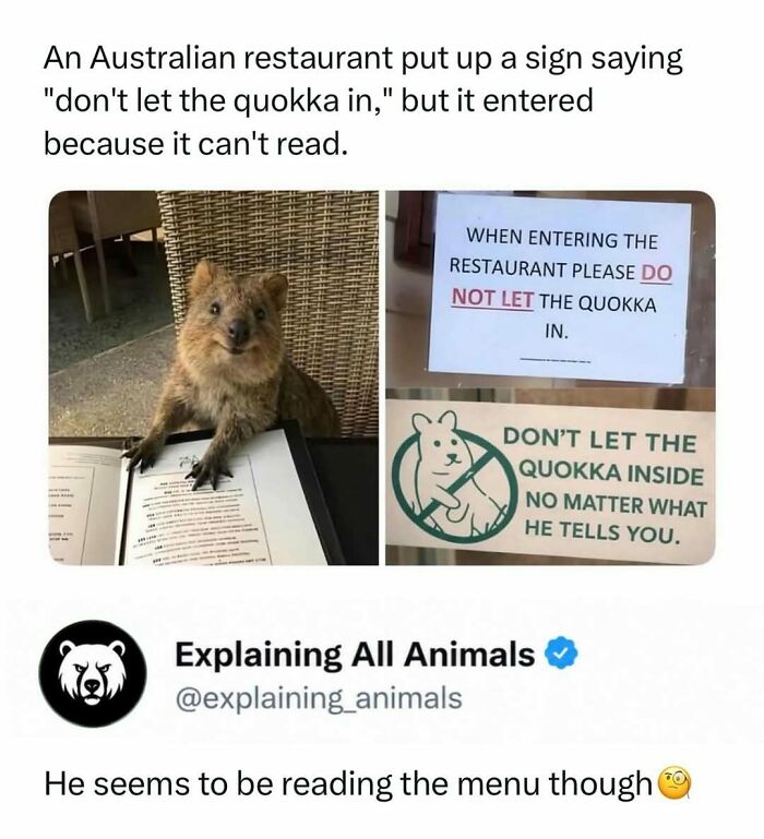 Time Spent Learning About Animals Is Never Wasted, So Here Are 73 Curiosities You Might Appreciate Time Spent Learning About Animals Is Never Wasted, So Here Are 73 Curiosities You Might Appreciate