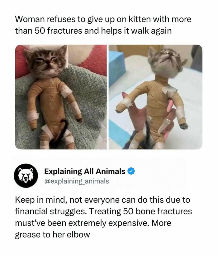 Time Spent Learning About Animals Is Never Wasted, So Here Are 73 Curiosities You Might Appreciate Time Spent Learning About Animals Is Never Wasted, So Here Are 73 Curiosities You Might Appreciate
