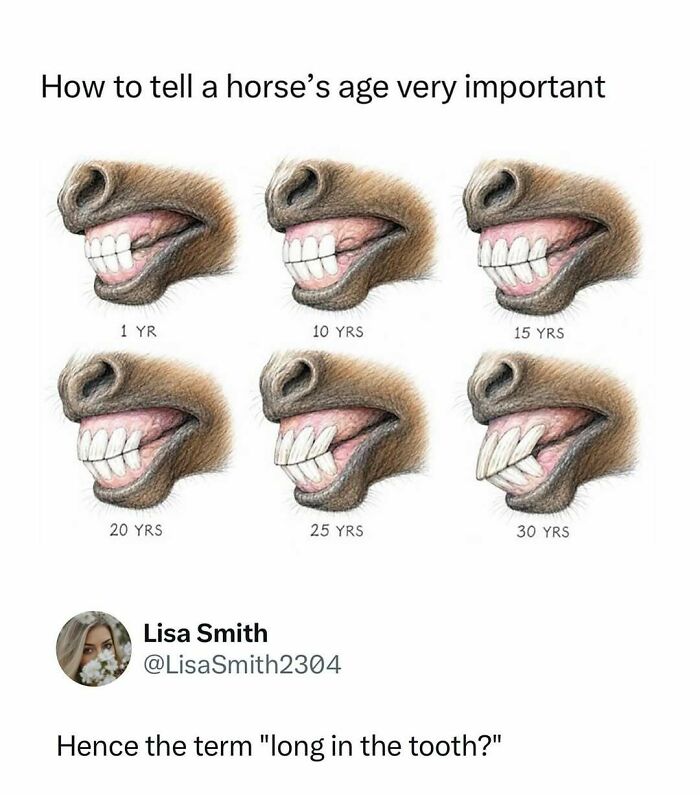 Time Spent Learning About Animals Is Never Wasted, So Here Are 73 Curiosities You Might Appreciate Time Spent Learning About Animals Is Never Wasted, So Here Are 73 Curiosities You Might Appreciate