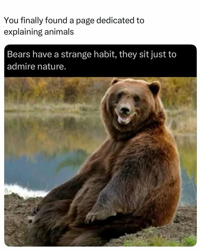 Time Spent Learning About Animals Is Never Wasted, So Here Are 73 Curiosities You Might Appreciate Time Spent Learning About Animals Is Never Wasted, So Here Are 73 Curiosities You Might Appreciate