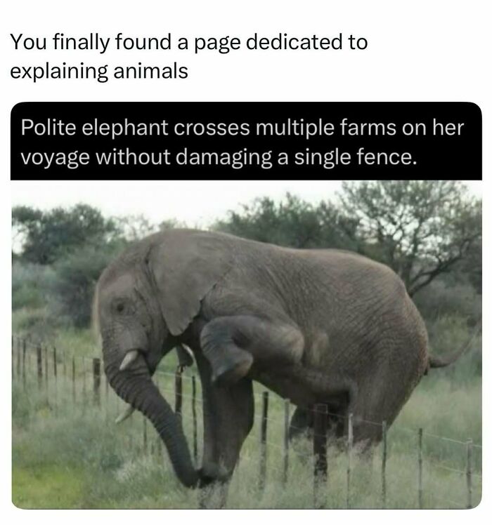 Time Spent Learning About Animals Is Never Wasted, So Here Are 73 Curiosities You Might Appreciate Time Spent Learning About Animals Is Never Wasted, So Here Are 73 Curiosities You Might Appreciate