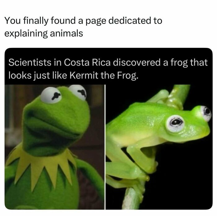 Time Spent Learning About Animals Is Never Wasted, So Here Are 73 Curiosities You Might Appreciate Time Spent Learning About Animals Is Never Wasted, So Here Are 73 Curiosities You Might Appreciate