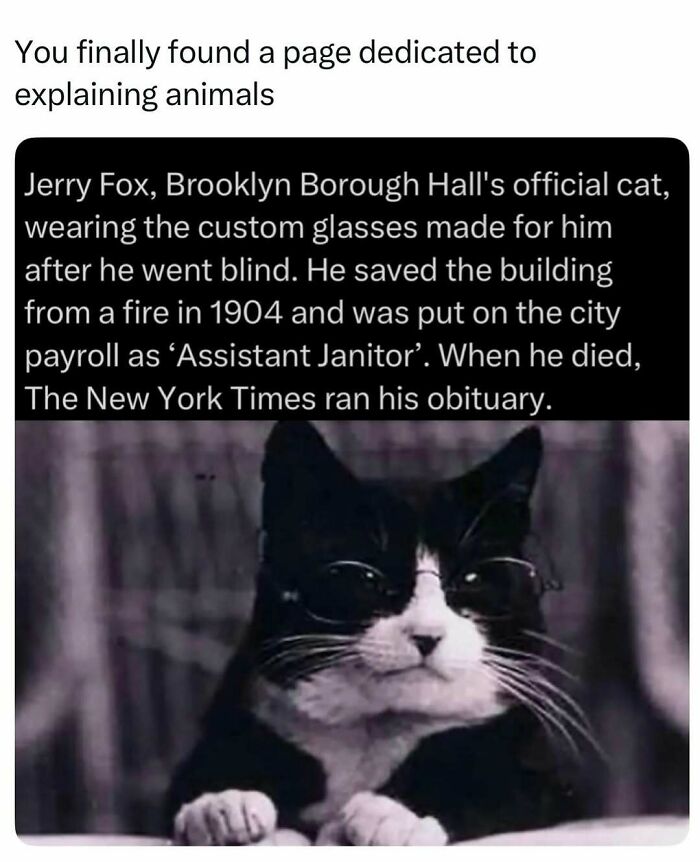 Time Spent Learning About Animals Is Never Wasted, So Here Are 73 Curiosities You Might Appreciate Time Spent Learning About Animals Is Never Wasted, So Here Are 73 Curiosities You Might Appreciate