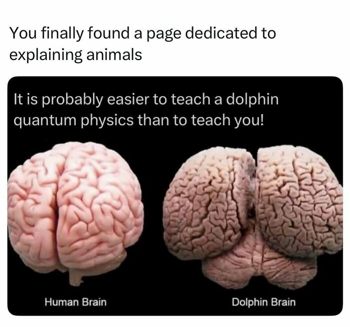 Time Spent Learning About Animals Is Never Wasted, So Here Are 73 Curiosities You Might Appreciate Time Spent Learning About Animals Is Never Wasted, So Here Are 73 Curiosities You Might Appreciate