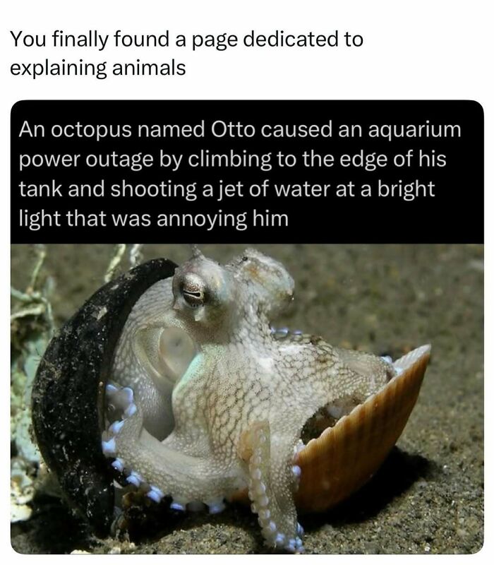Time Spent Learning About Animals Is Never Wasted, So Here Are 73 Curiosities You Might Appreciate Time Spent Learning About Animals Is Never Wasted, So Here Are 73 Curiosities You Might Appreciate