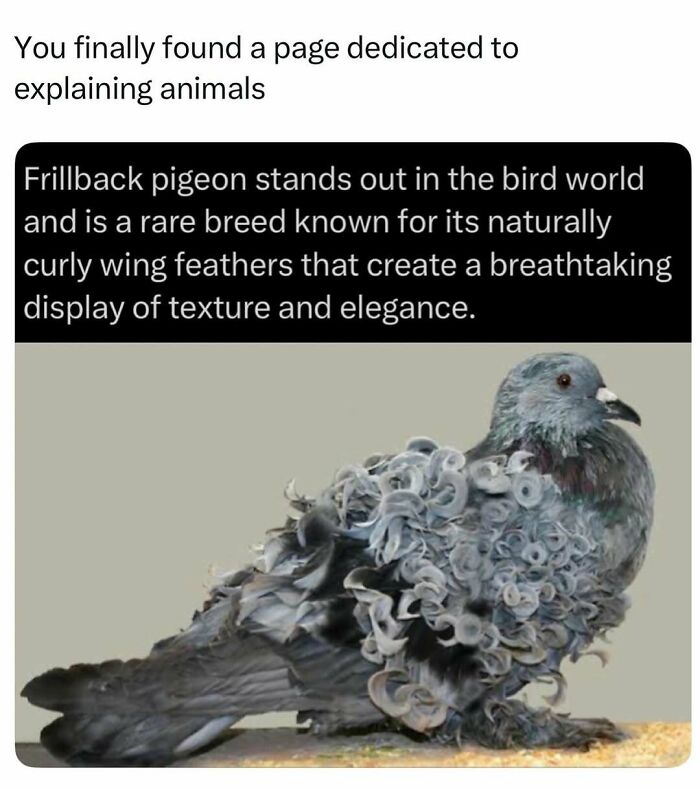 Time Spent Learning About Animals Is Never Wasted, So Here Are 73 Curiosities You Might Appreciate Time Spent Learning About Animals Is Never Wasted, So Here Are 73 Curiosities You Might Appreciate