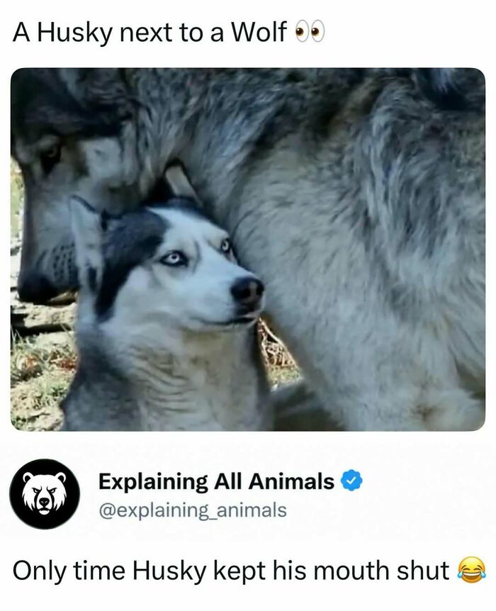 Time Spent Learning About Animals Is Never Wasted, So Here Are 73 Curiosities You Might Appreciate Time Spent Learning About Animals Is Never Wasted, So Here Are 73 Curiosities You Might Appreciate