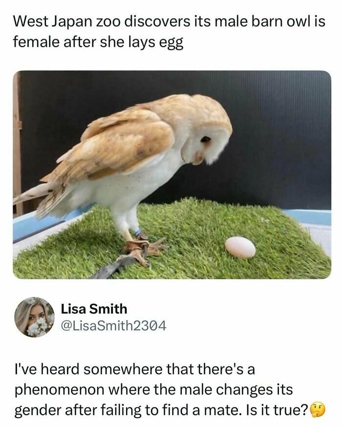 Time Spent Learning About Animals Is Never Wasted, So Here Are 73 Curiosities You Might Appreciate Time Spent Learning About Animals Is Never Wasted, So Here Are 73 Curiosities You Might Appreciate