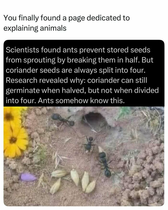 Time Spent Learning About Animals Is Never Wasted, So Here Are 73 Curiosities You Might Appreciate Time Spent Learning About Animals Is Never Wasted, So Here Are 73 Curiosities You Might Appreciate