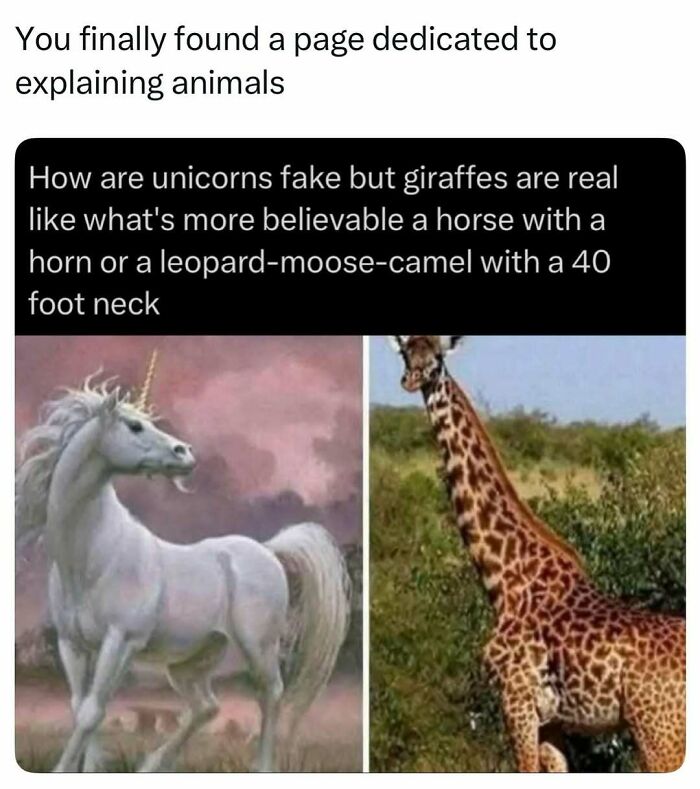 Time Spent Learning About Animals Is Never Wasted, So Here Are 73 Curiosities You Might Appreciate Time Spent Learning About Animals Is Never Wasted, So Here Are 73 Curiosities You Might Appreciate