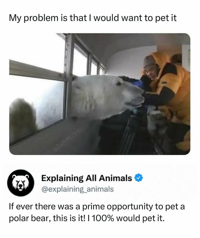Time Spent Learning About Animals Is Never Wasted, So Here Are 73 Curiosities You Might Appreciate Time Spent Learning About Animals Is Never Wasted, So Here Are 73 Curiosities You Might Appreciate