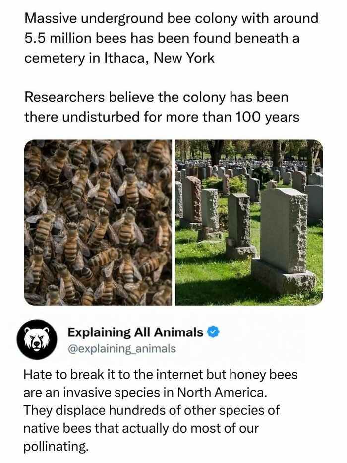 Time Spent Learning About Animals Is Never Wasted, So Here Are 73 Curiosities You Might Appreciate Time Spent Learning About Animals Is Never Wasted, So Here Are 73 Curiosities You Might Appreciate