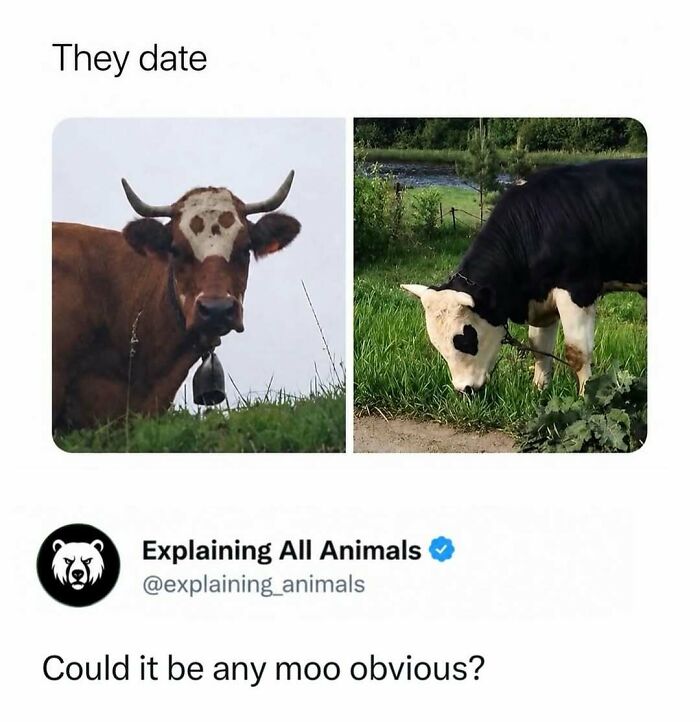 Time Spent Learning About Animals Is Never Wasted, So Here Are 73 Curiosities You Might Appreciate Time Spent Learning About Animals Is Never Wasted, So Here Are 73 Curiosities You Might Appreciate