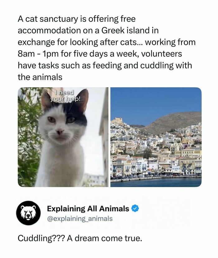 Time Spent Learning About Animals Is Never Wasted, So Here Are 73 Curiosities You Might Appreciate Time Spent Learning About Animals Is Never Wasted, So Here Are 73 Curiosities You Might Appreciate
