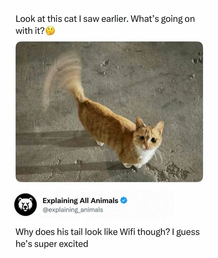 Time Spent Learning About Animals Is Never Wasted, So Here Are 73 Curiosities You Might Appreciate Time Spent Learning About Animals Is Never Wasted, So Here Are 73 Curiosities You Might Appreciate