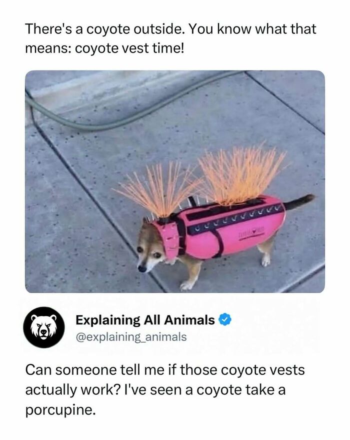 Time Spent Learning About Animals Is Never Wasted, So Here Are 73 Curiosities You Might Appreciate Time Spent Learning About Animals Is Never Wasted, So Here Are 73 Curiosities You Might Appreciate
