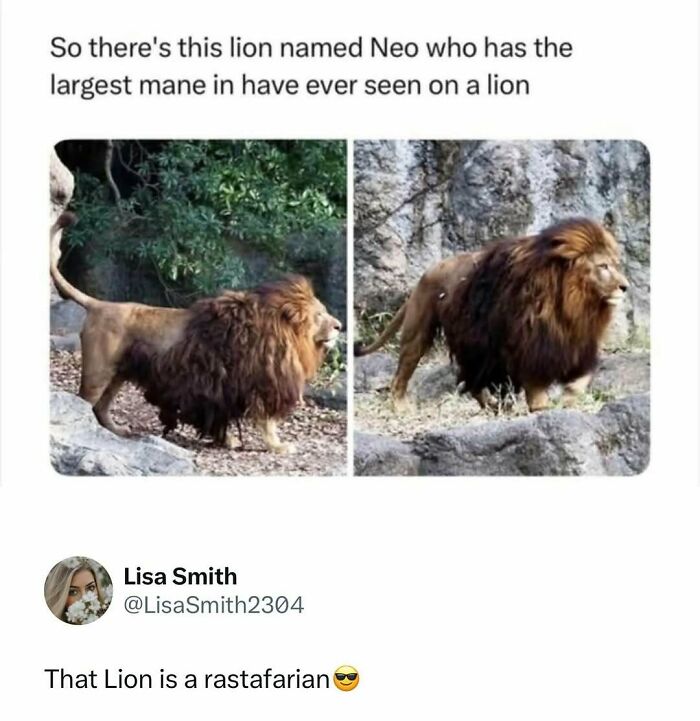Time Spent Learning About Animals Is Never Wasted, So Here Are 73 Curiosities You Might Appreciate Time Spent Learning About Animals Is Never Wasted, So Here Are 73 Curiosities You Might Appreciate