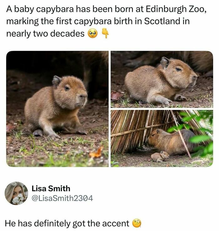 Time Spent Learning About Animals Is Never Wasted, So Here Are 73 Curiosities You Might Appreciate Time Spent Learning About Animals Is Never Wasted, So Here Are 73 Curiosities You Might Appreciate