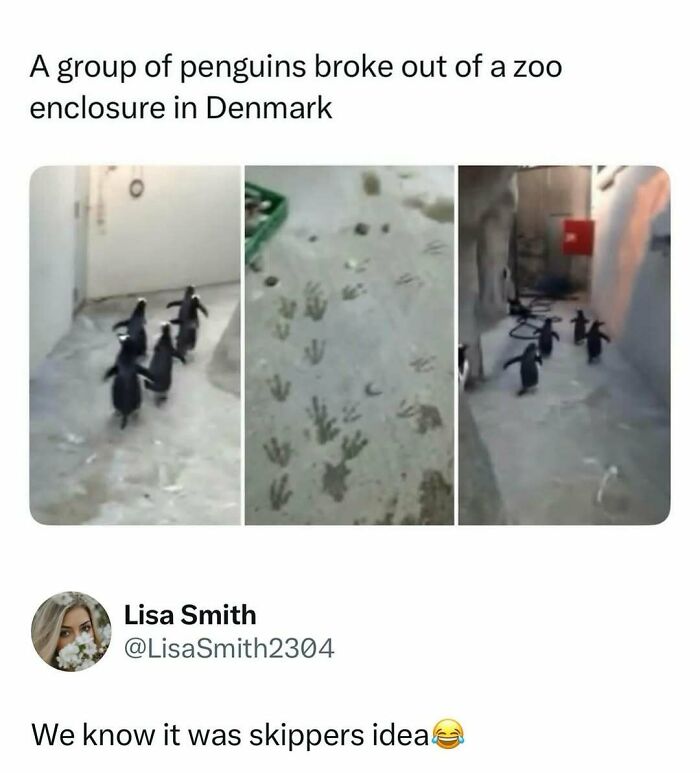 Time Spent Learning About Animals Is Never Wasted, So Here Are 73 Curiosities You Might Appreciate Time Spent Learning About Animals Is Never Wasted, So Here Are 73 Curiosities You Might Appreciate